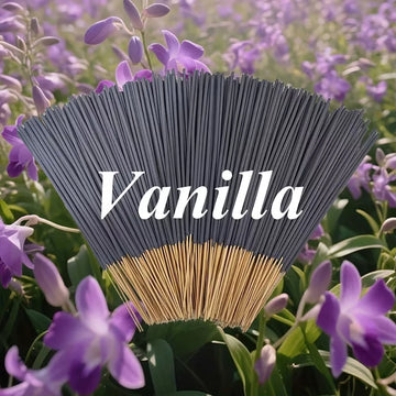 Vanilla Aromatherapy Stick, 22.0cm - Long-Lasting, Natural Wood Scent, Fragrance Suitable for Yoga, Meditation, Relaxation and Sleep Aid - Perfect Choice for Home Decor, Hotels and Spas