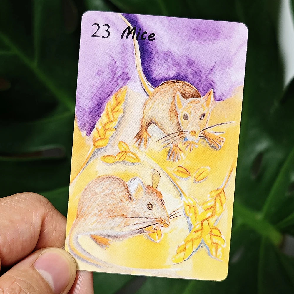 Rana System 9*6cm Watercolor Painting Lenormand Deck 42 Pcs Lenormand Cards