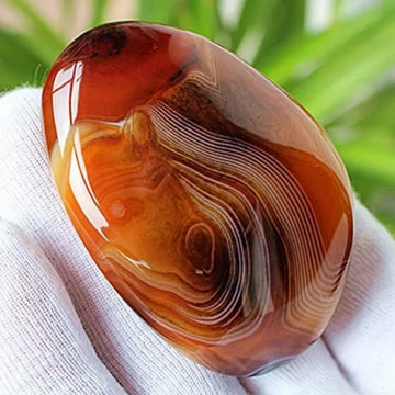 Natural Sardonyx Agate Palm Stone Polished Agate Tumbled Stone Silk Agate Mineral Specimen Polished Reiki Healing Decor