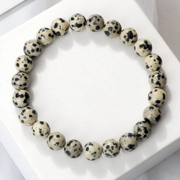 4/6/8mm Natural Stone Bracelet Dalmation Black Speckle Beads Strand Bracelets Charm Braided Bangles for Women Men Jewelry Gifts