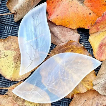 1Pc Natural Selenite Crystal Bowl Chakra Healing Stone Plate Leaf-shaped Gypsum Minerals Specimen Reiki Home Bowl Decor DIY Gift