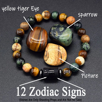 12 Zodiac Constellation Signs Bracelets for Men Women Real Natural Tiger Eye Sparrow Picture Stone Bead Bracelet Leo Taurus Gift