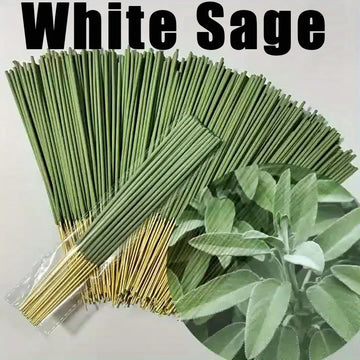 10/50/172 Supports Long-Lasting White Sage Incense - Natural Bamboo Incense Sticks, Elegant Green, Suitable for Home, Yoga, Meditation, Holiday Decoration - Ideal for Halloween, Christmas, Thanksgiving, Hanukkah, Easter - Ess