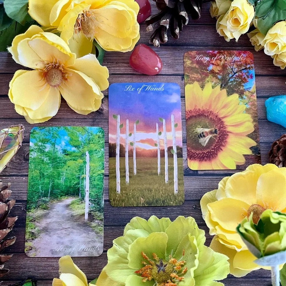 10.3*6cm  Walking Meditation Tarot 78 Pcs RWS-based Tarot Cards Connects To The Natural Elements of Each Season